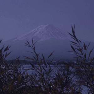 外国女人小便偷窥
